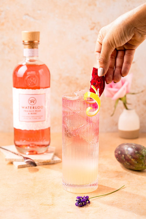 Prickly Pear Collins