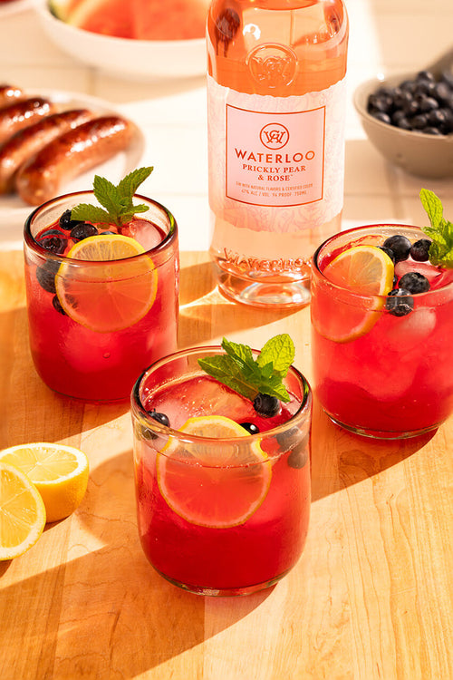 Texas Blueberry Lemonade