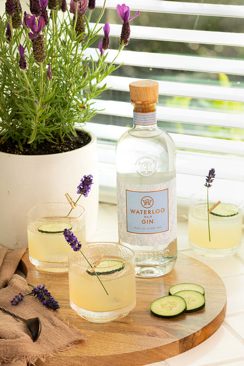 Waterloo Lavender Cucumber Sour